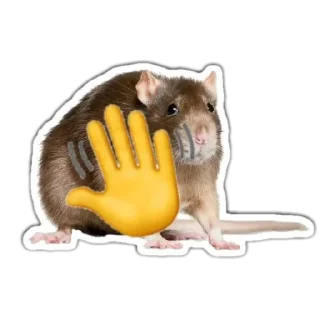 👋