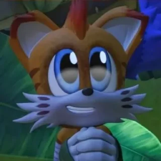 ✨