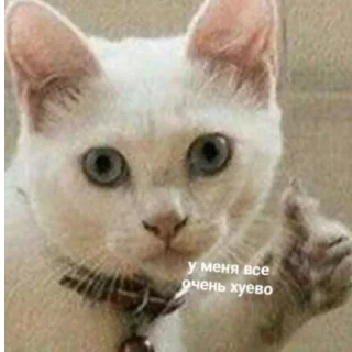 😋