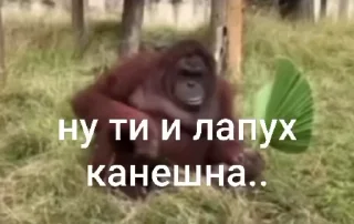 😁
