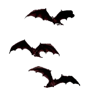 🦇