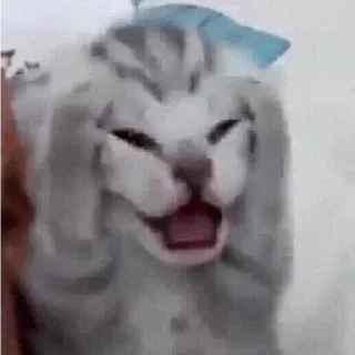 👹