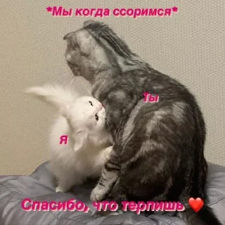 💞