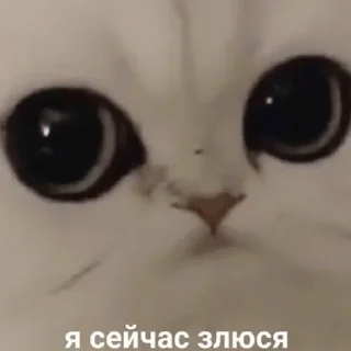 💜