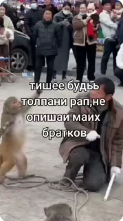 🦯