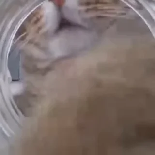 🤤
