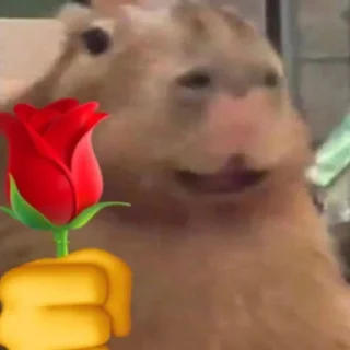 🌹