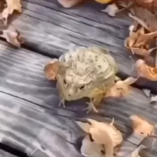 😂