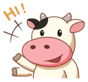 Momo Cow