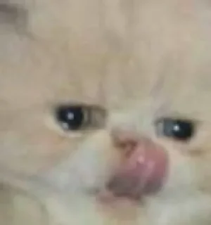 😭