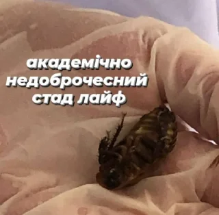 🤰