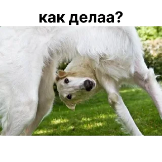 ❓