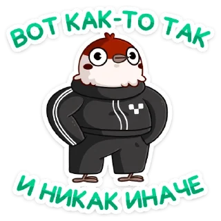 💪