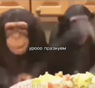 🎉