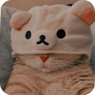 🧸