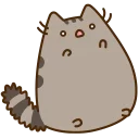 🐱