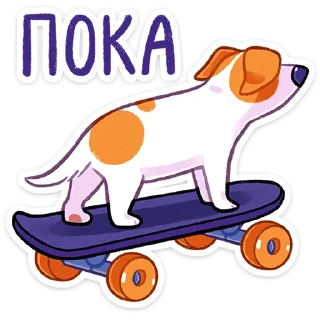 🛹