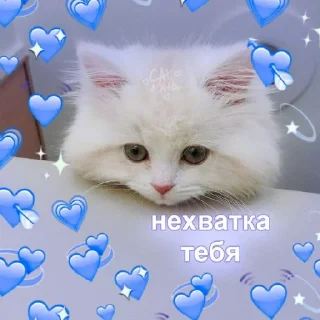 💙