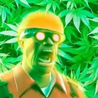 🌿