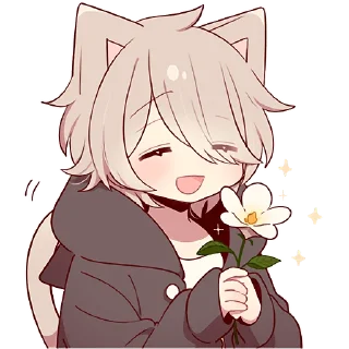 🌺