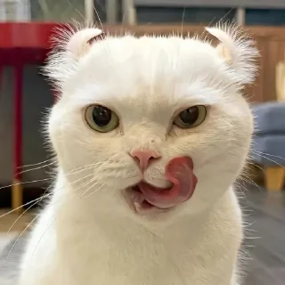 🌟