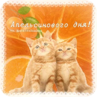 👍