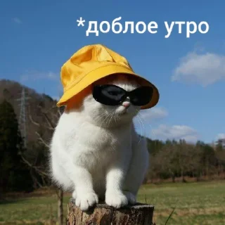☀