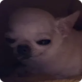 🌟