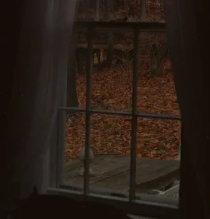 🍂