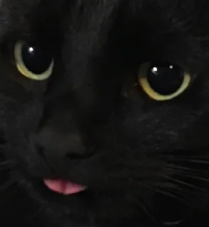 😛