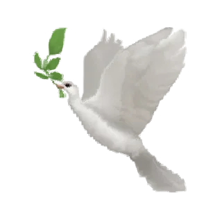 🕊️