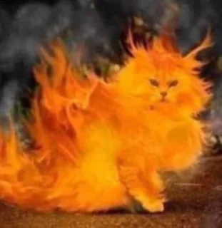 🔥