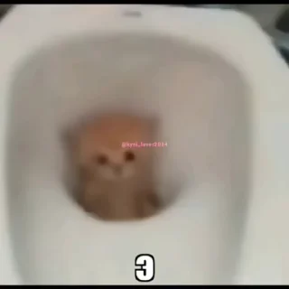 ❓