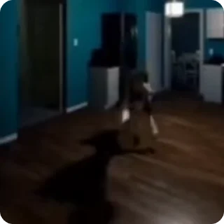 🌟