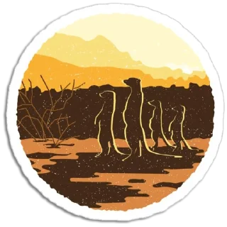 🌵