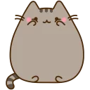 🐱