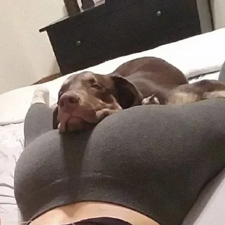 😊