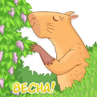 🌸
