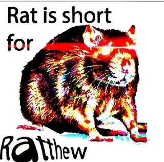🐀