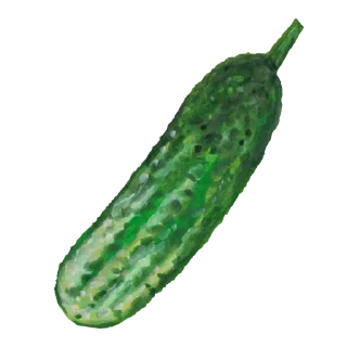 🥒