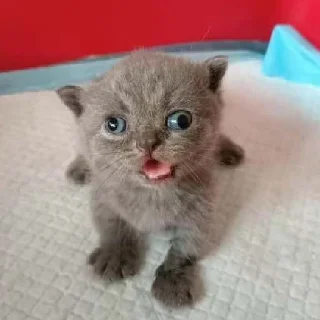 🤓