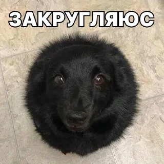 🙂‍↔️