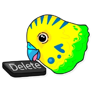 🙅‍♂️