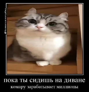 🙈