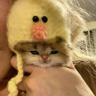 🥺