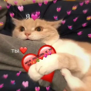 ❤️