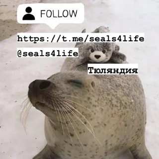 👍