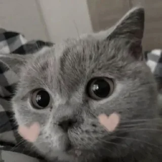 🥰