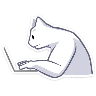 💻