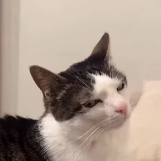 😏
